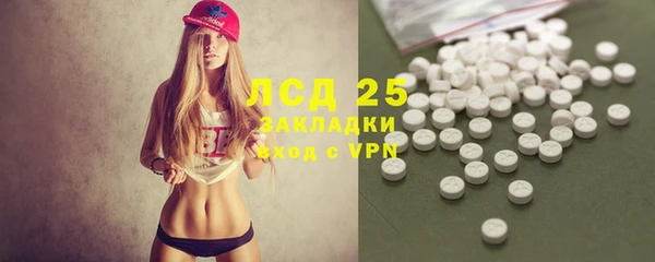ALPHA-PVP Инсар