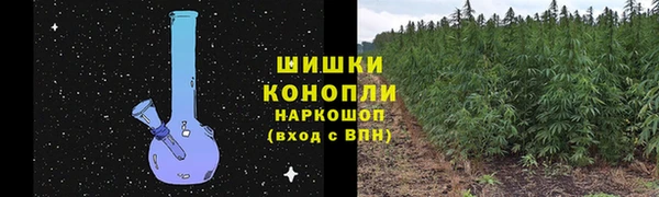 круглые Иннополис