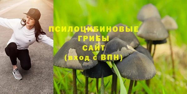 mix Каменка