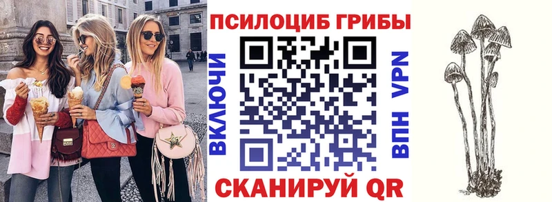 Псилоцибиновые грибы ЛСД  Купить где  Елец 